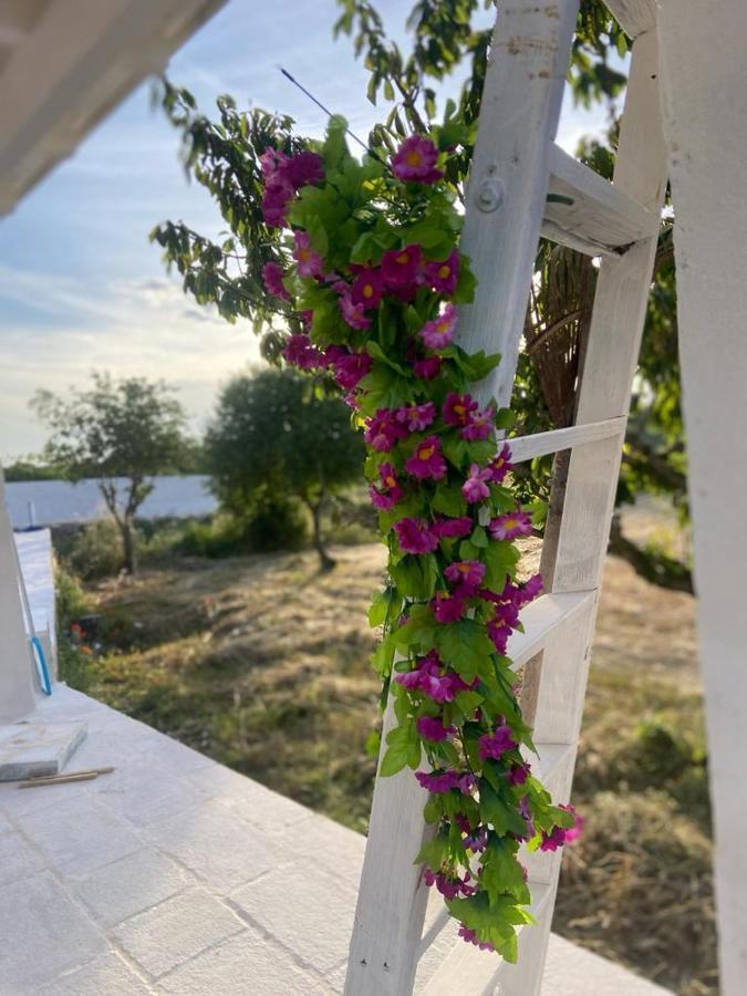 Casa Loredana Putignano Eksteriør bilde