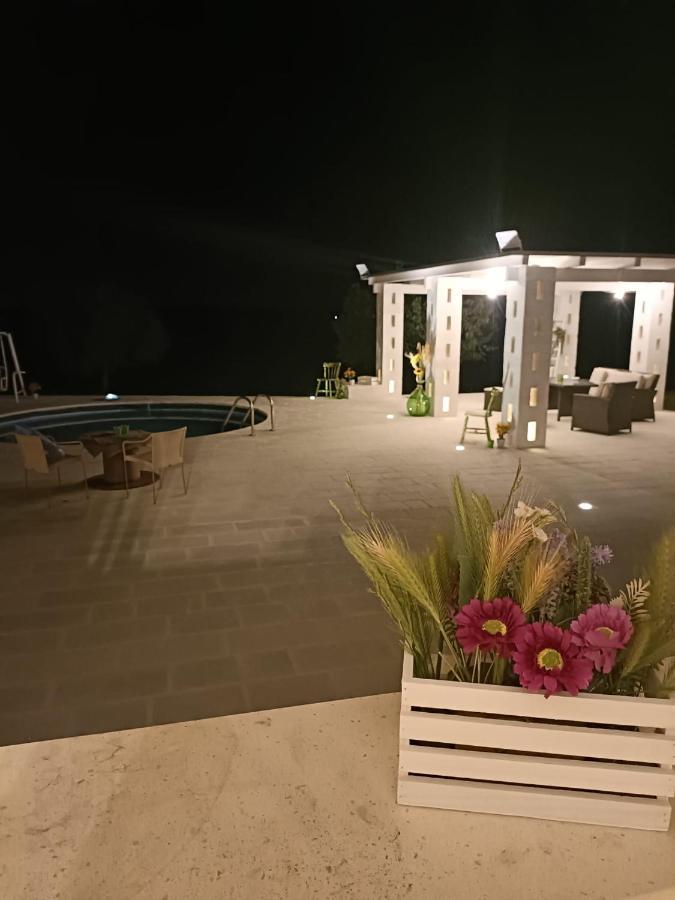 Casa Loredana Putignano Eksteriør bilde