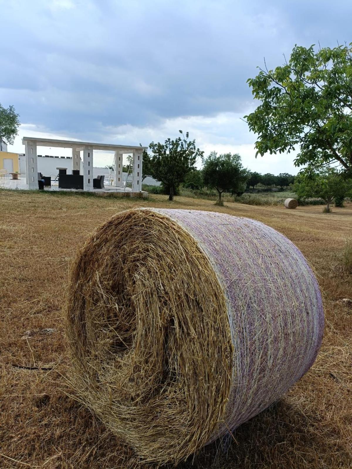 Casa Loredana Putignano Eksteriør bilde